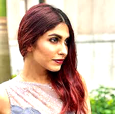 వ్యభిచార కేసులో అరెస్ట్ సినీ నటి అనుష్క మోని మోహందాస్